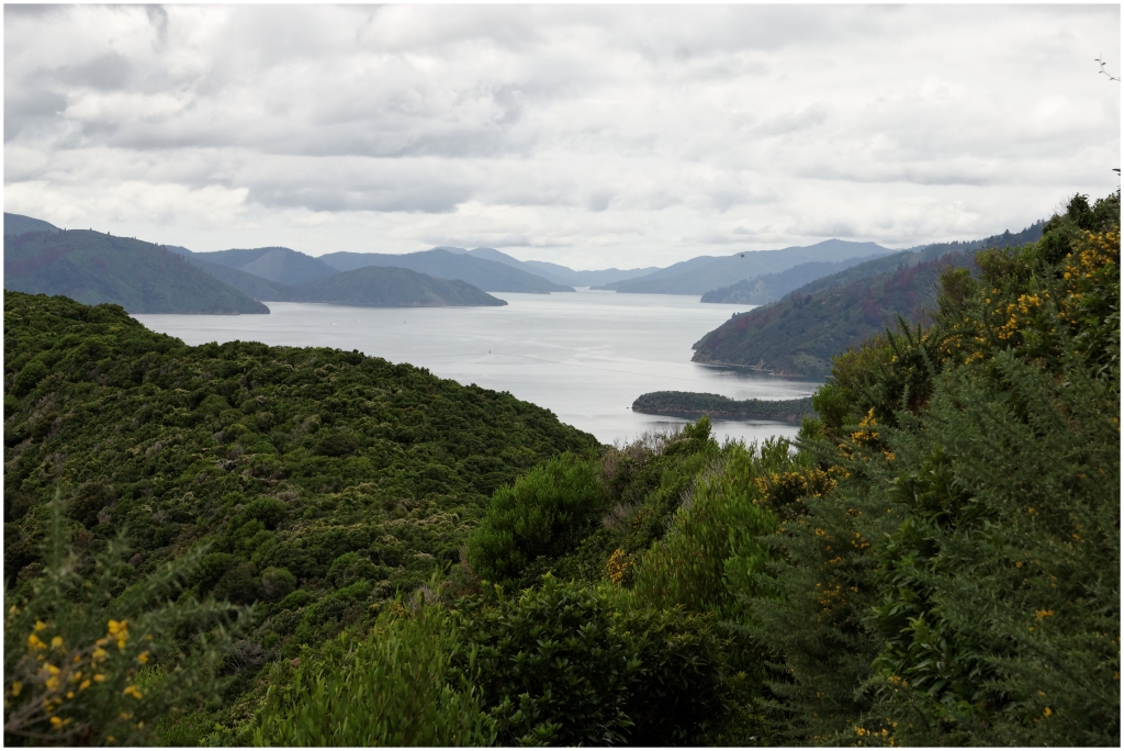 12 - Queen Charlotte  (02).jpg